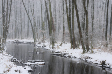 Fototapeta na wymiar Leśna, zimowa rzeka