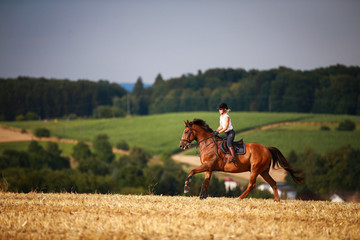 Horsewoman with horse galloping on a stubble field in summer photographed from the front from some...