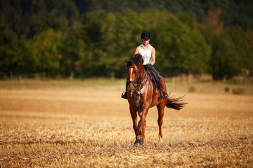 Horsewoman with horse galloping on a stubble field in summer photographed from the front from some...