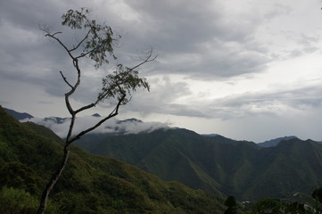 Rice Terraces Banaue  Philippines