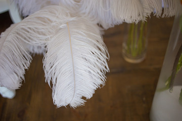  Large white feather on the wedding in the interior for the bride