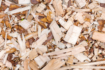 Textured background of scattered wood chips of different shapes and colors