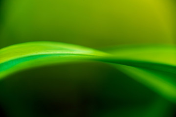 Abstract colored background close up. Macro.