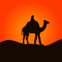 Camel and cameleer in Sahara desert. Vector illustration.