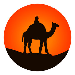 Camel icon. Vector.