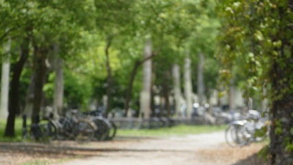 Obraz premium The Defocused flowers and plants in meadow in moved background