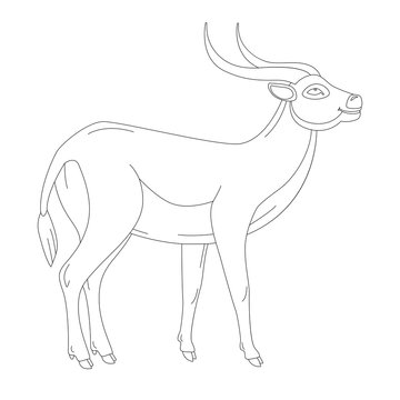 antelope, vector illustration ,  profile view,
