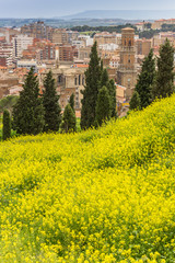 Obraz na płótnie Canvas Rapeseed flowers and cathedral tower in Tudela, Spain