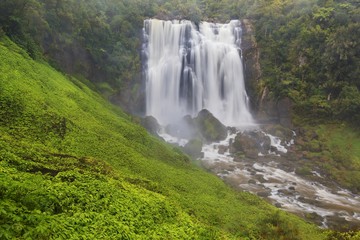 Panoramic photo landscape / Waterfall hidden in the tropical jungle surrounded by a natural swimming pool with clear fresh water on background green forest tree and mountain, New Zealand 
