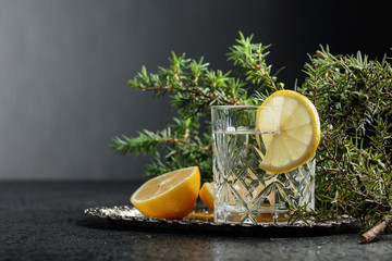 Gin , tonic with slices of lemon and a sprig of juniper . - obrazy, fototapety, plakaty