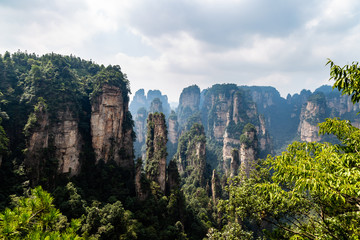 Fototapeta na wymiar The panorama of the so called “black forest” in Yuanjiajie area in the Wulingyuan National Park, Zhangjiajie, Hunan, China. Wulingyuan National park was the inspiration for the movie Avatar