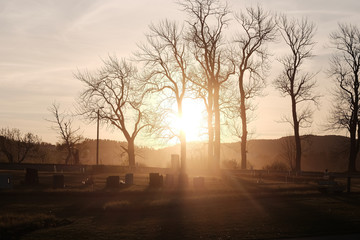 Sunset at graveyard