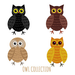 Set of owl collection