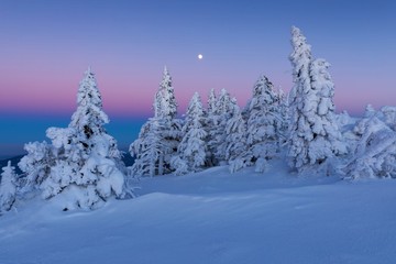 Fantastic evening winter landscape. Dramatic overcast sky. Beautiful mountain winter landscape with a frozen trees and the orange sky. Happy New Year! Christmas winter landscape background.