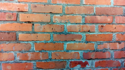 Fototapeta premium Wall