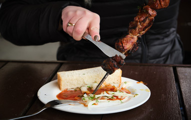 Shish kebabs - grilled meat and vegetables