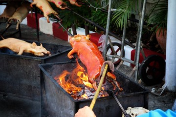 Fototapeta premium barbecued suckling pig