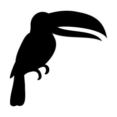 bird Toucan