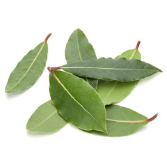 Obraz premium Aromatic bay leaves