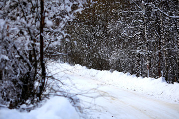 Flakes of snow on branch. Selective focus of Snowflake on tree during winter, shallow depth of field. White snow on a empty winter rural road.