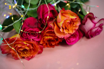 Roses with fairy lights on a pink background