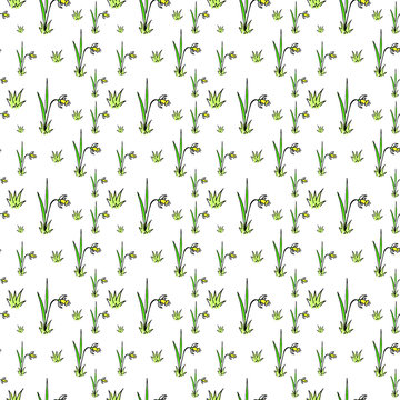 narcissus doodle pattern, spring doodle background, garden pattern, hand drawn narcissus, seamless vector pattern hand-drawn doodle  on white background, bright doodle pattern