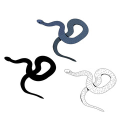 snake crawling on a white background
