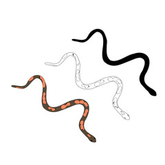 vector isolated snake crawling on a white background