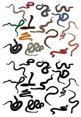 set of snake crawling, collection of silhouettes