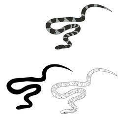  isolated snake crawling on a white background