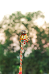 Gudi Padwa Marathi New Year