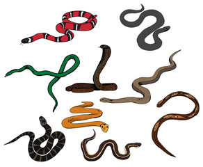  set of snake crawling