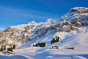 Schneebedeckte Schwägalp mit Alpsteinmassiv und Säntis im Winter, Felsen, blauer Himmel, leichte Schleierwolken, Häuser und Schäunen, Tannen