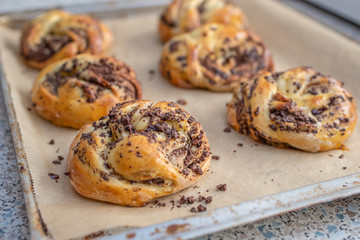 Chocolate Babka