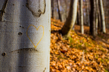 Herz im Baum