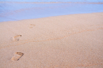 Footprints leading towards the sea