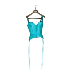 sexy bustier on hanger