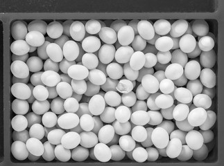 Many snail eggs laid in a rectangular container, one egg damaged, monochrome, close-up.