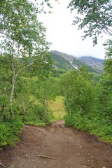 Old dirt road in the curved birch forest. The photo was taken in the caldera of the Vachkazhets volcano on the Kamchatka Peninsula, Russia.