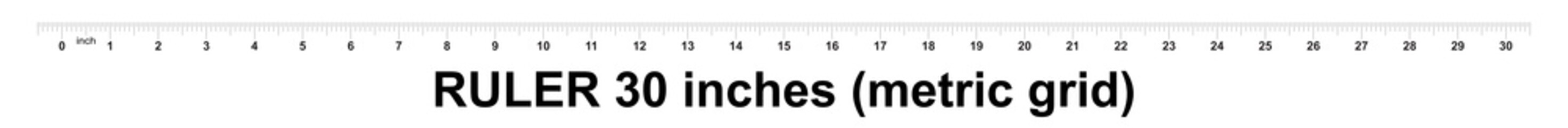Ruler 30 inches. Metric inch size indicator. Decimal system grid. Measuring tool