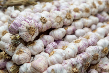 pink garlic heads