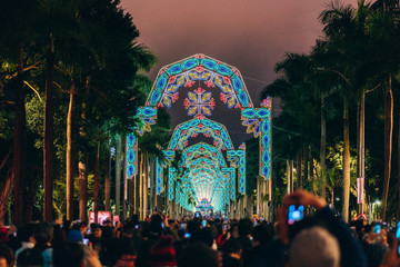 Obraz premium Winter Illuminations in Taipei, Taiwan 2019