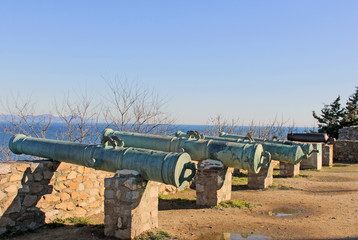 camons  arme de guerre