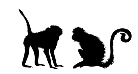 Illustration of monkey icon. Vector silhouette on white background.