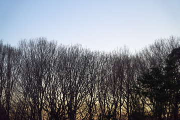 まほろばの郷夕景05