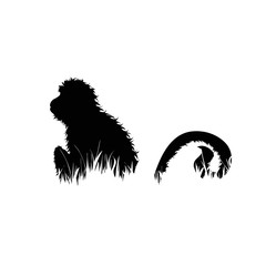 Illustration of monkey icon in the grass. Vector silhouette on white background.