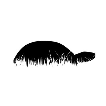 recommend clip art: Illustration of turtle icon in the grass. Vector silhouette on white background.Symbol of reptile.