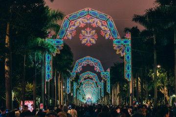 Fototapeta premium Winter Illuminations in Taipei, Taiwan 2019