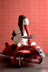 storch auf spielflugzeug