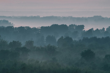 Mystical view from top on forest under haze at early morning. Mist among layers from tree silhouettes in taiga under warm predawn sky. Morning atmospheric minimalistic landscape of majestic nature.